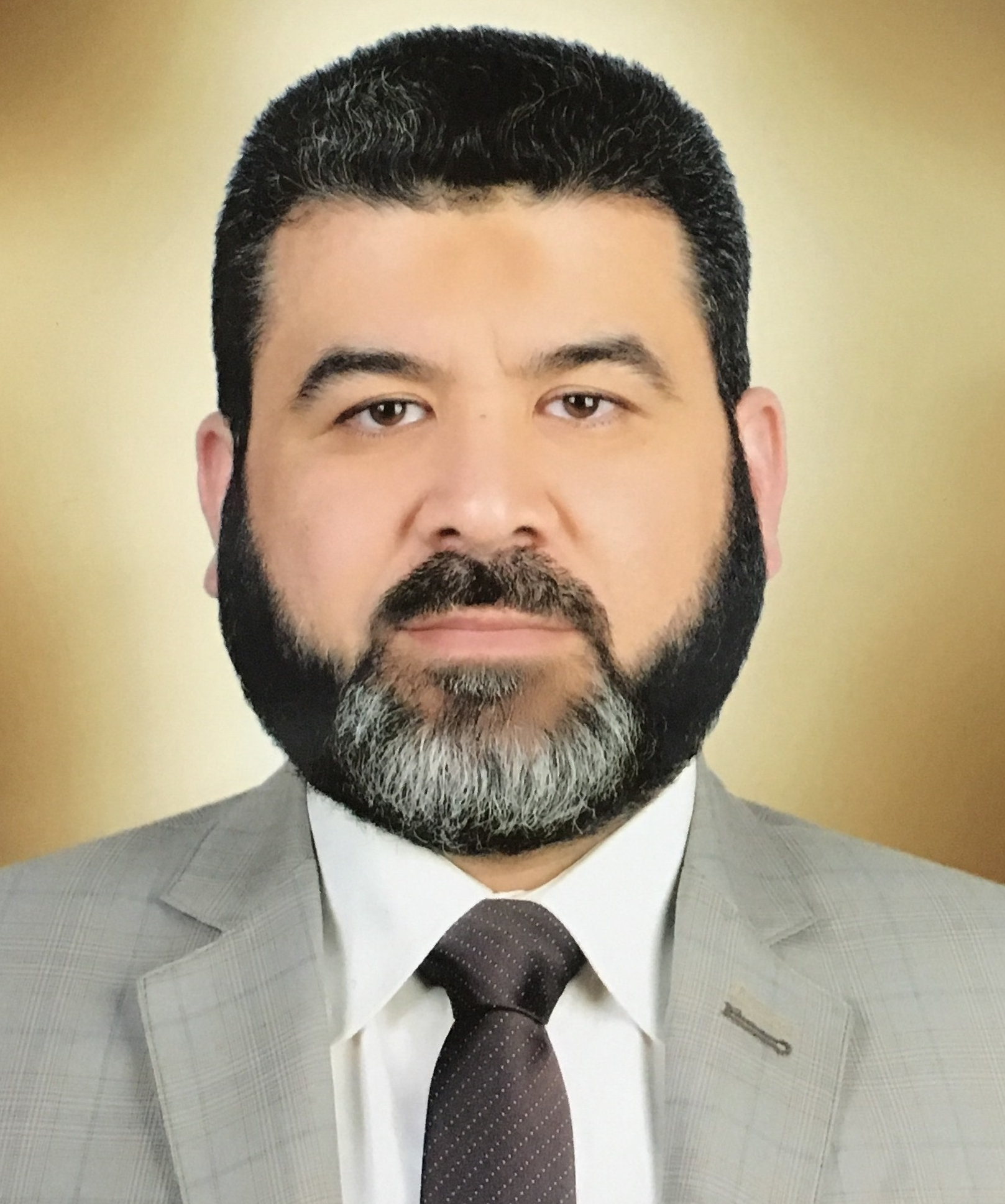 Hytham Ahmed Abd El-Ghany Mohammed